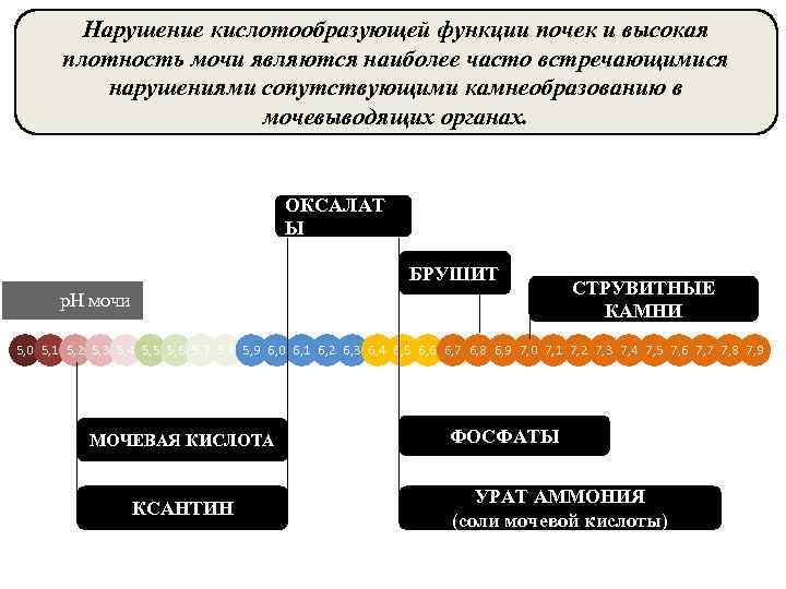 Нарушение кислотообразующей функции почек и высокая плотность мочи являются наиболее часто встречающимися нарушениями сопутствующими