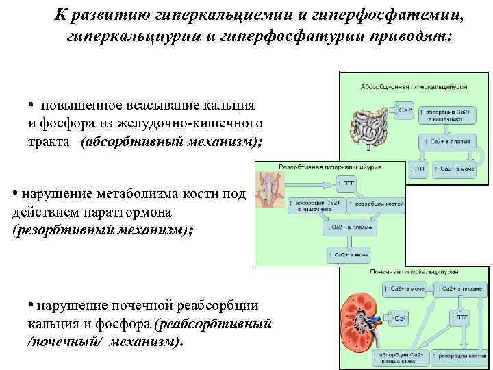 Гиперкальциурия. Механизм развития гиперкальциемии. Гиперкальциурия и гиперфосфатурия.. Почечная гиперкальциурия. Патогенез гиперкальциемии.