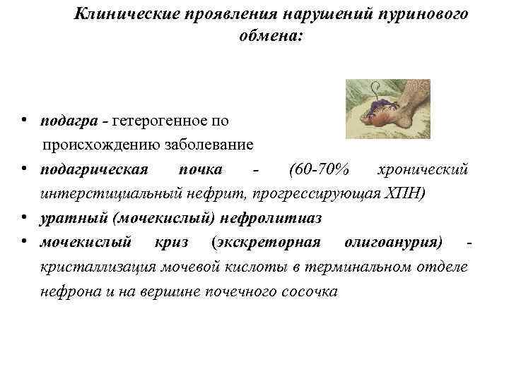 Клинические проявления нарушений пуринового обмена: • подагра - гетерогенное по происхождению заболевание • подагрическая