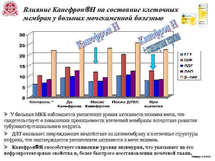 Влияние Канефрон Н на состояние клеточных мембран у больных мочекаменной болезнью Ø У больных