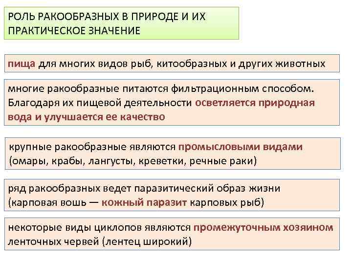 РОЛЬ РАКООБРАЗНЫХ В ПРИРОДЕ И ИХ ПРАКТИЧЕСКОЕ ЗНАЧЕНИЕ пища для многих видов рыб, китообразных