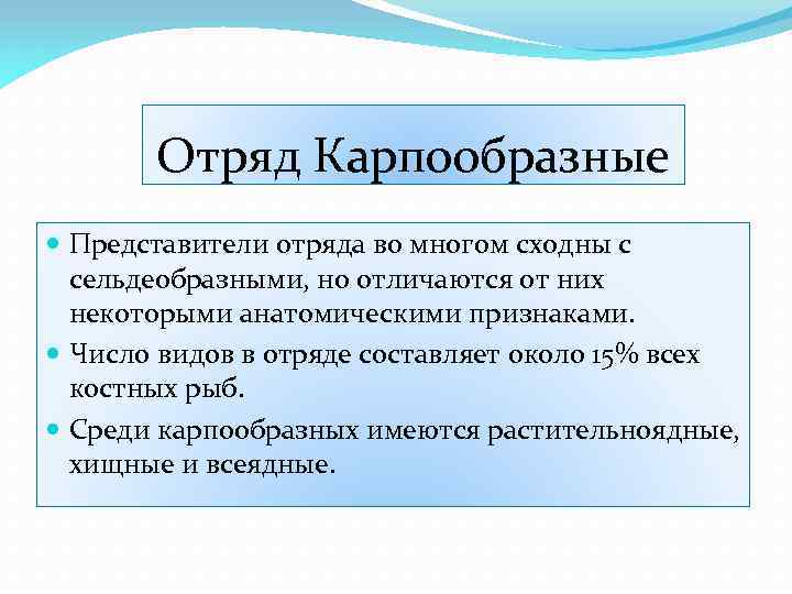 Отряд Карпообразные Представители отряда во многом сходны с сельдеобразными, но отличаются от них некоторыми