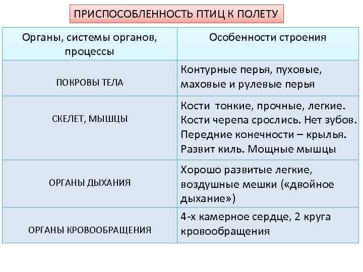 ПРИСПОСОБЛЕННОСТЬ ПТИЦ К ПОЛЕТУ Органы, системы органов, процессы ПОКРОВЫ ТЕЛА СКЕЛЕТ, МЫШЦЫ ОРГАНЫ ДЫХАНИЯ