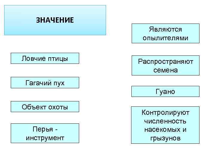 Значением является