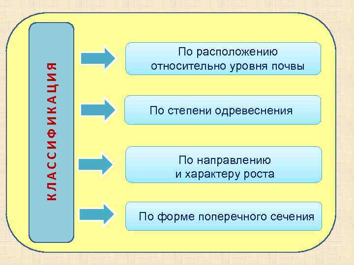 КЛАССИФИКАЦИЯ По расположению относительно уровня почвы По степени одревеснения По направлению и характеру роста