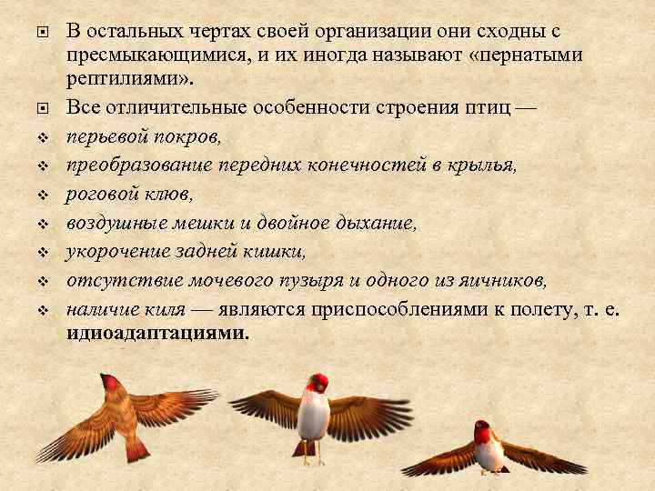 Покров птиц. Функции перьевого Покрова у птиц. Особенности перьевого Покрова птиц. Роль перьевого Покрова в жизни птиц. Каково значение перьевого Покрова птиц.