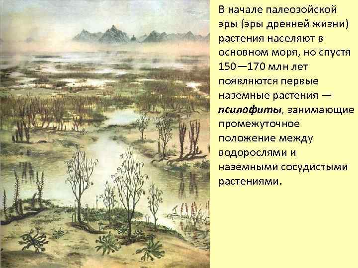  • В начале палеозойской эры (эры древней жизни) растения населяют в основном моря,