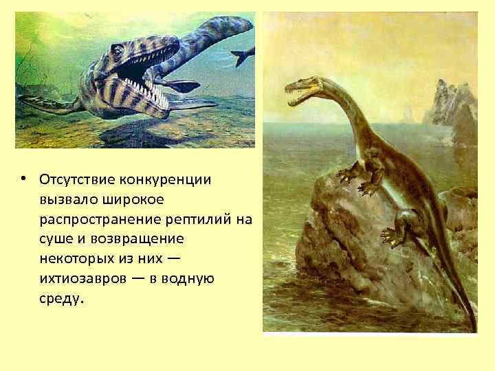  • Отсутствие конкуренции вызвало широкое распространение рептилий на суше и возвращение некоторых из