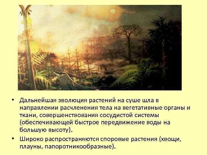  • Дальнейшая эволюция растений на суше шла в направлении расчленения тела на вегетативные