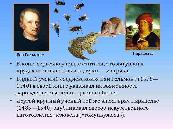 Ван Гельмонт Парацельс • Вполне серьезно ученые считали, что лягушки в прудах возникают из