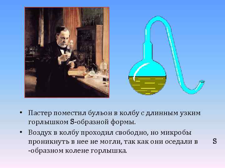  • Пастер поместил бульон в колбу с длинным узким горлышком S-образной формы. •