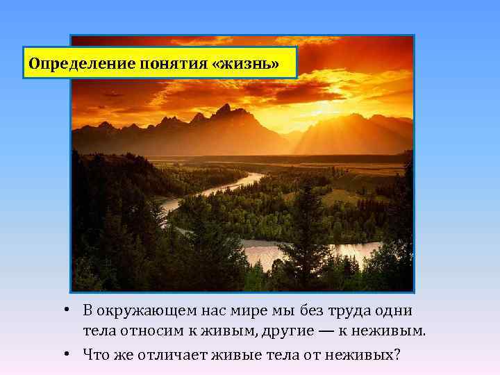 Определение понятия «жизнь» • В окружающем нас мире мы без труда одни тела относим