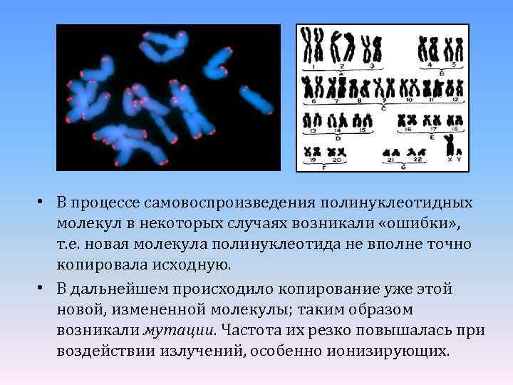  • В процессе самовоспроизведения полинуклеотидных молекул в некоторых случаях возникали «ошибки» , т.