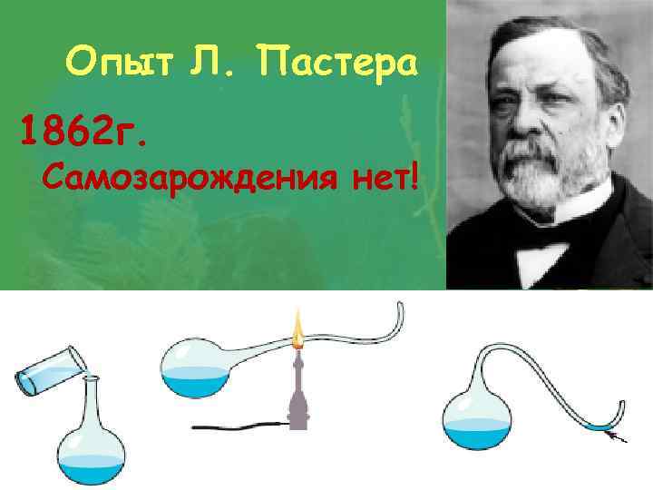 Опыт Л. Пастера 1862 г. Самозарождения нет! 