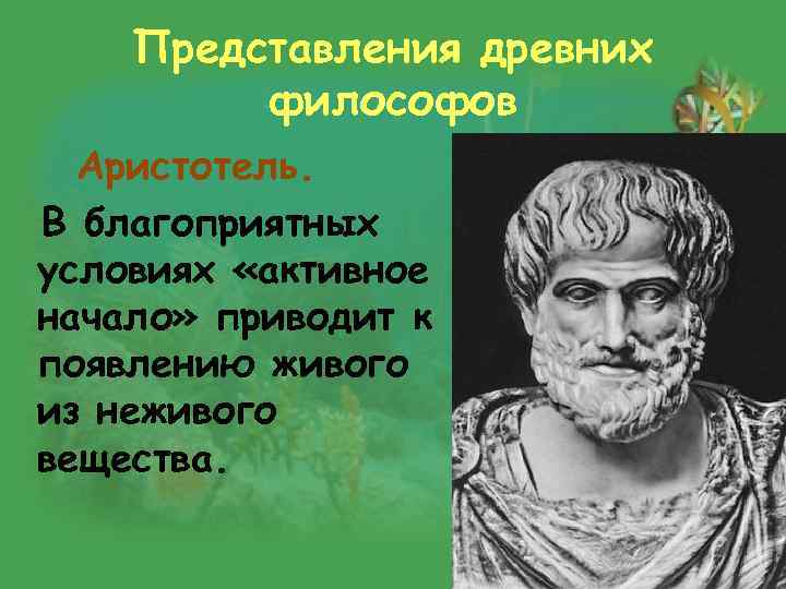 Представления древних философов Аристотель. В благоприятных условиях «активное начало» приводит к появлению живого из