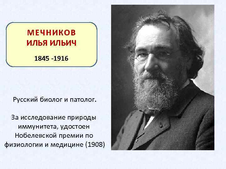 МЕЧНИКОВ ИЛЬЯ ИЛЬИЧ 1845 -1916 Русский биолог и патолог. За исследование природы иммунитета, удостоен