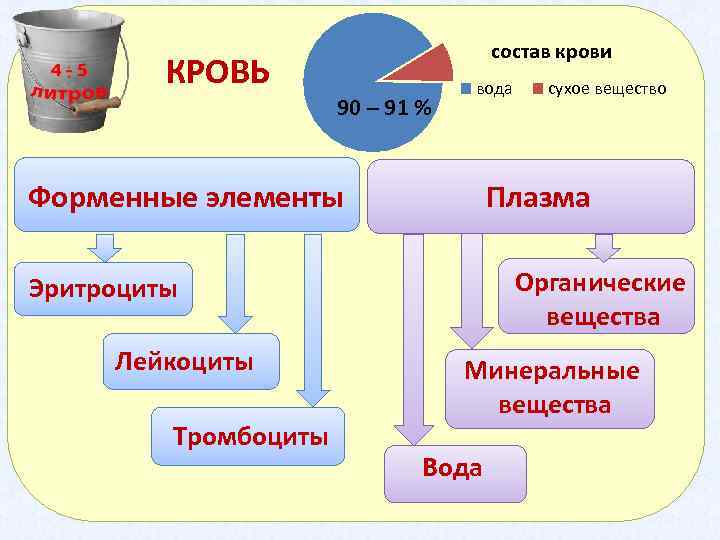 Составьте графологическую схему состав крови