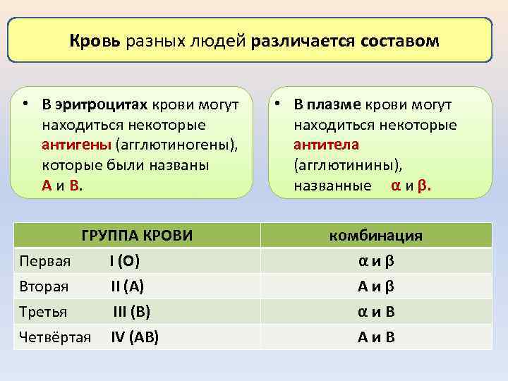Кровь разных людей различается составом • В эритроцитах крови могут находиться некоторые антигены (агглютиногены),