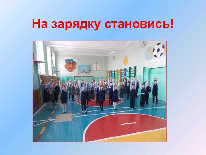 На зарядку становись! 