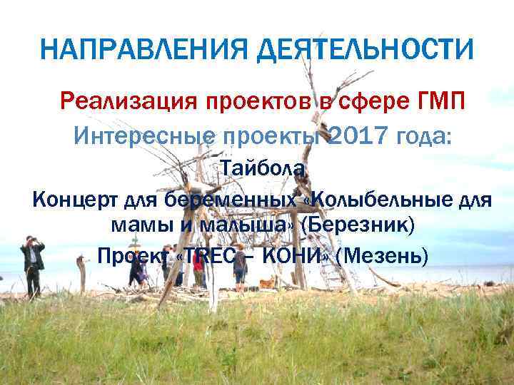 НАПРАВЛЕНИЯ ДЕЯТЕЛЬНОСТИ Реализация проектов в сфере ГМП Интересные проекты 2017 года: Тайбола Концерт для