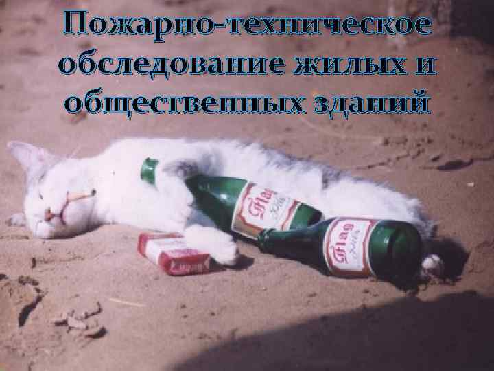 111 Пожарно-техническое обследование жилых и общественных зданий 