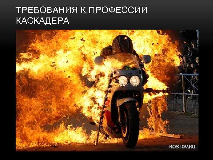 ТРЕБОВАНИЯ К ПРОФЕССИИ КАСКАДЕРА • Для этой профессии необходимыми требованиями являются: хорошая физическая подготовка
