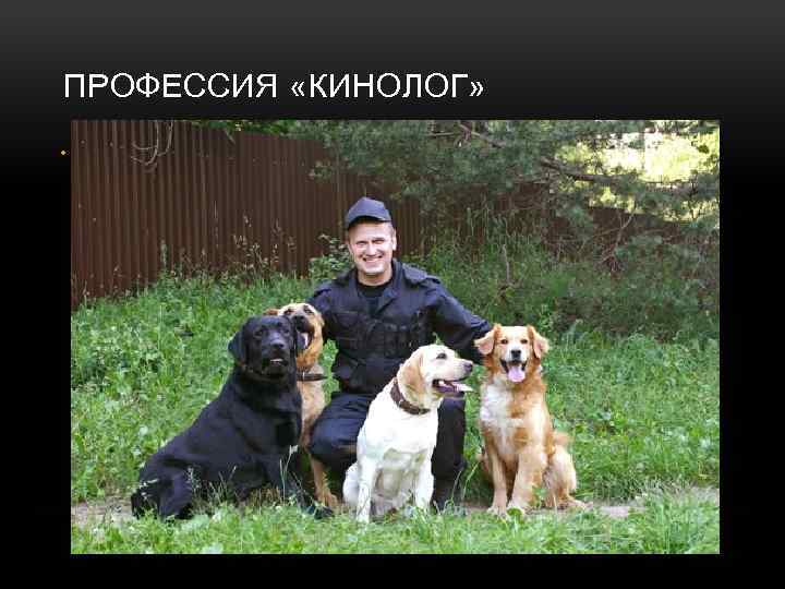 ПРОФЕССИЯ «КИНОЛОГ» • Кинолог – это специалист по разведению, содержанию и дрессировке собак. Особое
