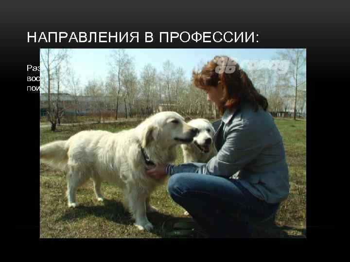 НАПРАВЛЕНИЯ В ПРОФЕССИИ: Разведение собак. Работая в питомниках, кинологи выращивают и воспитывают собак-поводырей для