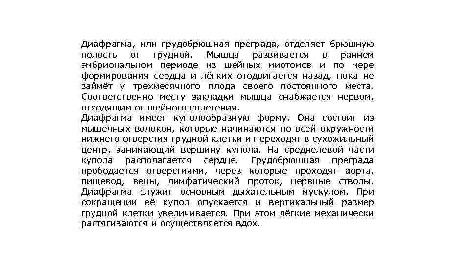 Диафрагма, или грудобрюшная преграда, отделяет брюшную полость от грудной. Мышца развивается в раннем эмбриональном