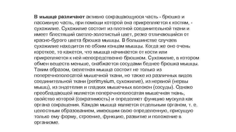 В мышце различают активно сокращающуюся часть - брюшко и пассивную часть, при помощи которой