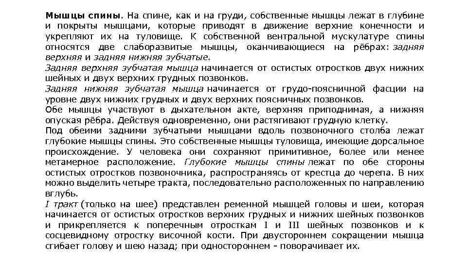 Мышцы спины. На спине, как и на груди, собственные мышцы лежат в глубине и