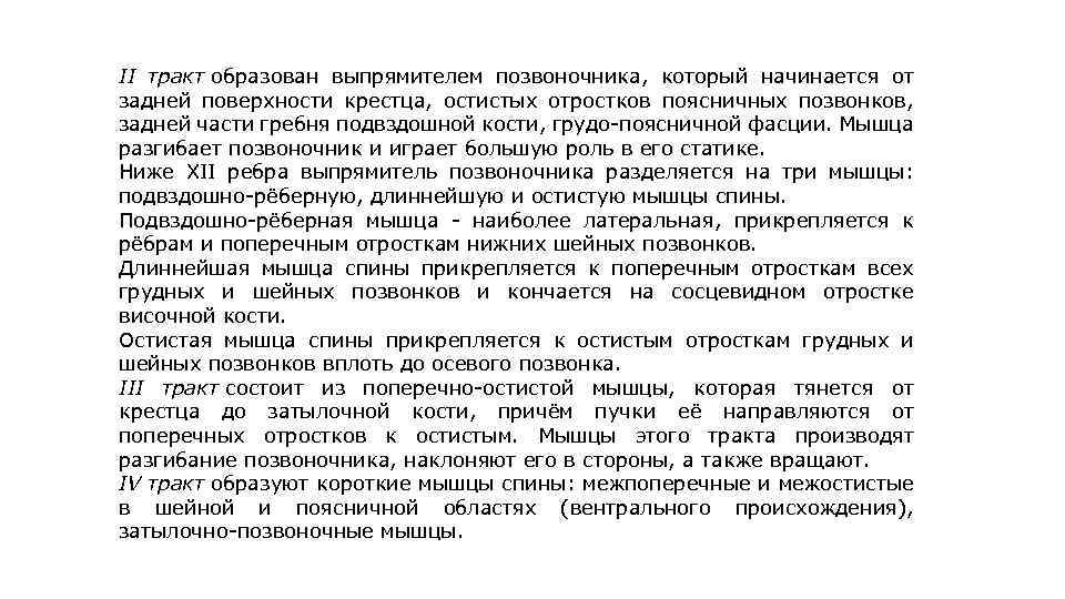 II тракт образован выпрямителем позвоночника, который начинается от задней поверхности крестца, остистых отростков поясничных