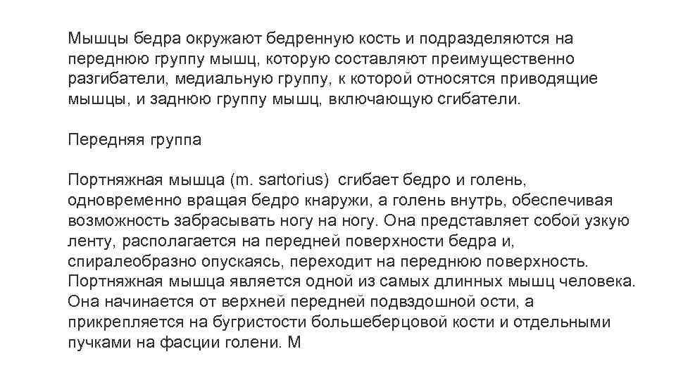 Мышцы бедра окружают бедренную кость и подразделяются на переднюю группу мышц, которую составляют преимущественно