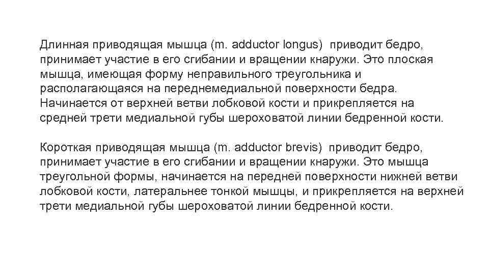 Длинная приводящая мышца (m. adductor longus) приводит бедро, принимает участие в его сгибании и