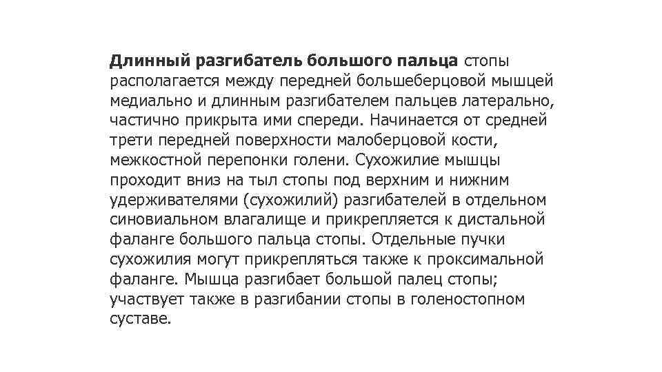 Длинный разгибатель большого пальца стопы располагается между передней большеберцовой мышцей медиально и длинным разгибателем