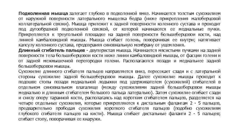 Подколенная мышца залегает глубоко в подколенной ямке. Начинается толстым сухожилием от наружной поверхности латерального