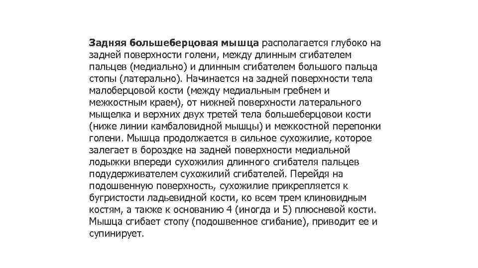 Задняя большеберцовая мышца располагается глубоко на задней поверхности голени, между длинным сгибателем пальцев (медиально)