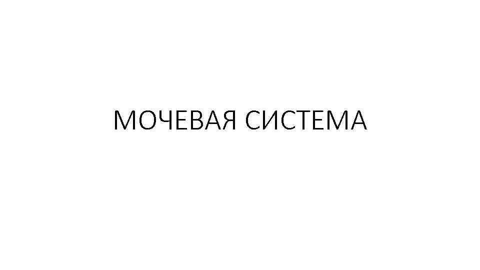 МОЧЕВАЯ СИСТЕМА 