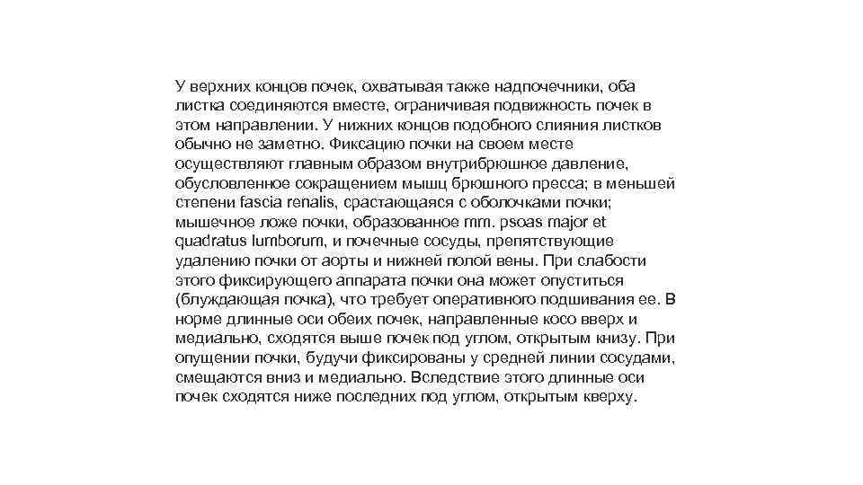 У верхних концов почек, охватывая также надпочечники, оба листка соединяются вместе, ограничивая подвижность почек