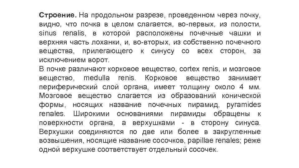 Строение. На продольном разрезе, проведенном через почку, видно, что почка в целом слагается, во-первых,