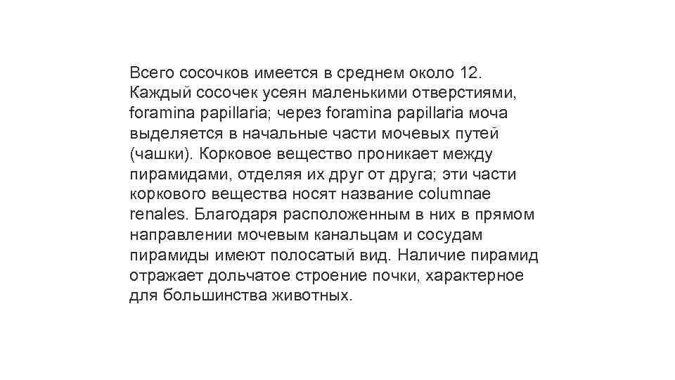 Всего сосочков имеется в среднем около 12. Каждый сосочек усеян маленькими отверстиями, foramina papillaria;