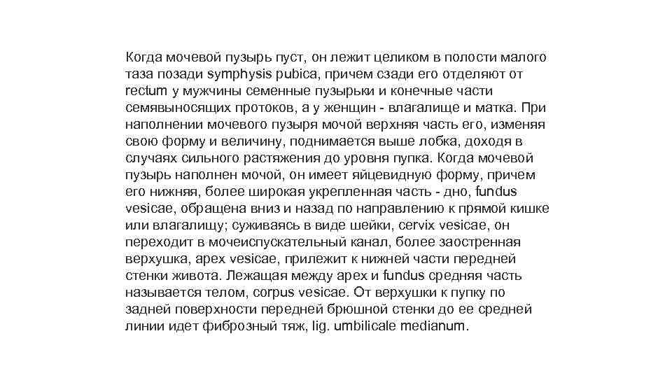 Когда мочевой пузырь пуст, он лежит целиком в полости малого таза позади symphysis pubica,