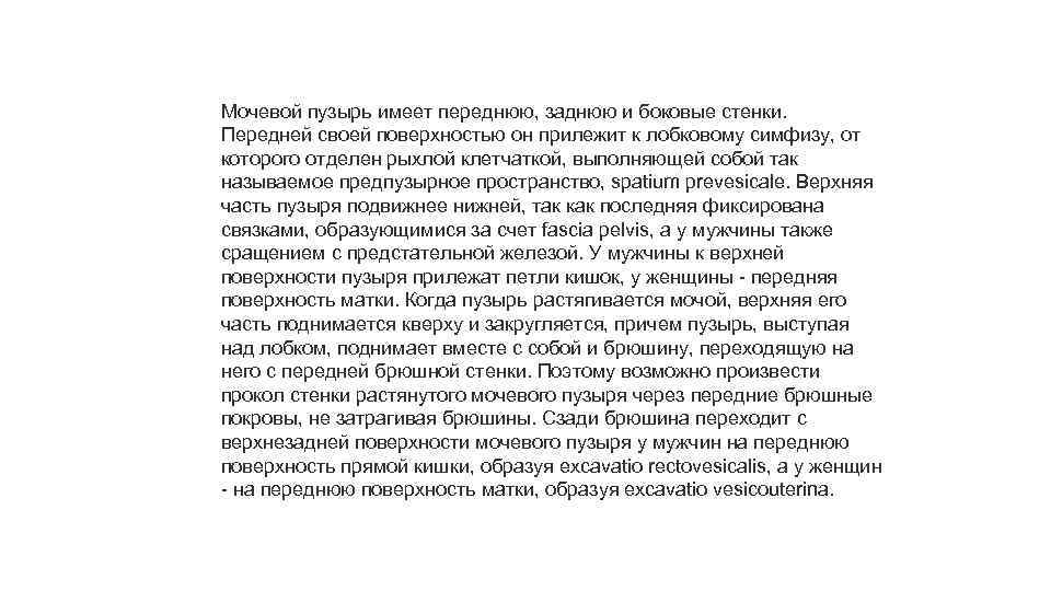 Мочевой пузырь имеет переднюю, заднюю и боковые стенки. Передней своей поверхностью он прилежит к