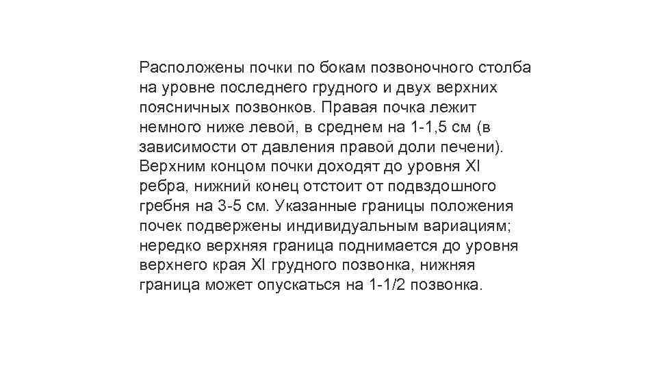 Расположены почки по бокам позвоночного столба на уровне последнего грудного и двух верхних поясничных