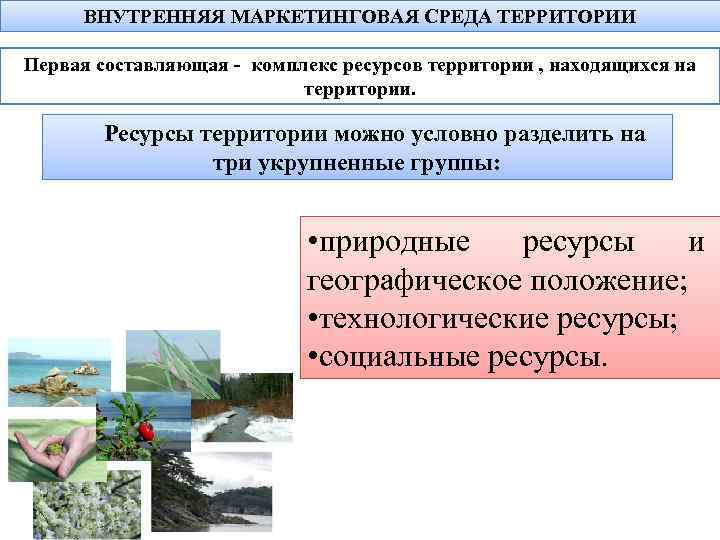 Территория ресурсов. Элементы внутренней среды территории. Маркетинговая среда территории. Внешняя маркетинговая среда территории – это. Маркетинговая среда территории внутренняя и внешняя.