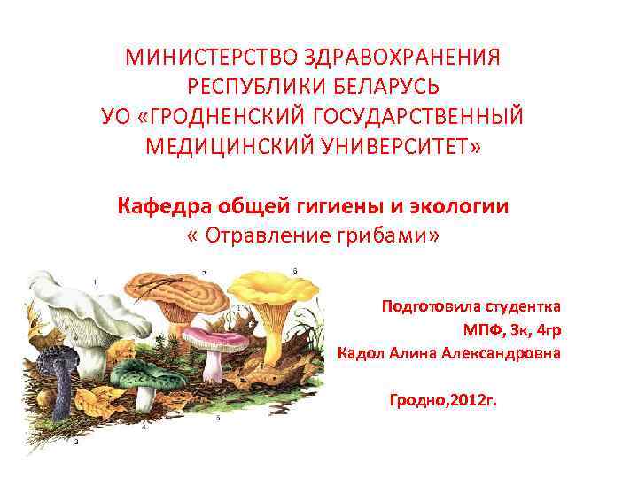 МИНИСТЕРСТВО ЗДРАВОХРАНЕНИЯ РЕСПУБЛИКИ БЕЛАРУСЬ УО «ГРОДНЕНСКИЙ ГОСУДАРСТВЕННЫЙ МЕДИЦИНСКИЙ УНИВЕРСИТЕТ» Кафедра общей гигиены и экологии