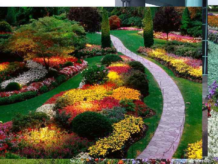 Узоры и предметы из цветов 