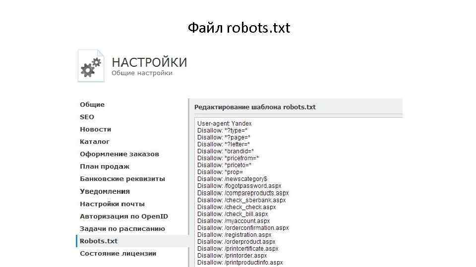  Файл robots. txt 