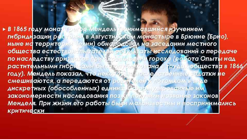  В 1865 году монах Грегор Мендель (занимавшийся изучением гибридизации растений в Августинском монастыре