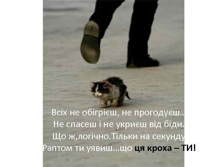 Всіх не обігрієш, не прогодуєш… Не спасеш і не укриєш від біди. Що ж,